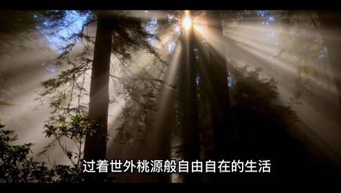 起初,神创造天地,然后又照着自己的形象造人_高清1080P在线观看平台_腾讯视频