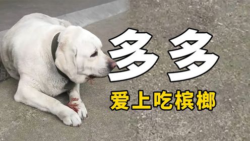 盘点全网最火的10大猫meme原型,快来看看你刷到过哪几个?#搞笑萌宠#搞笑表情#沙雕宠物_高清1080P在线观看平台_腾讯视频