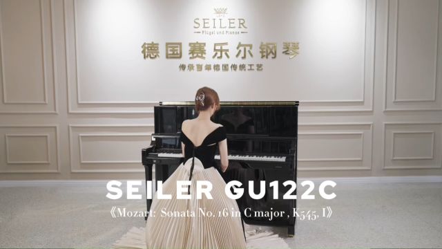 赛乐尔新品GU122C—— 探索音乐无限可能