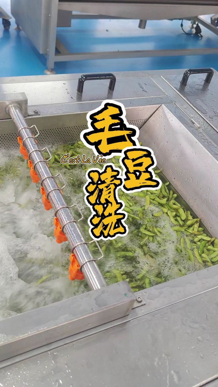 毛豆清洗机 #果蔬洗菜机 #蔬菜清洗流水线 #全自动清洗机 #清洗过滤