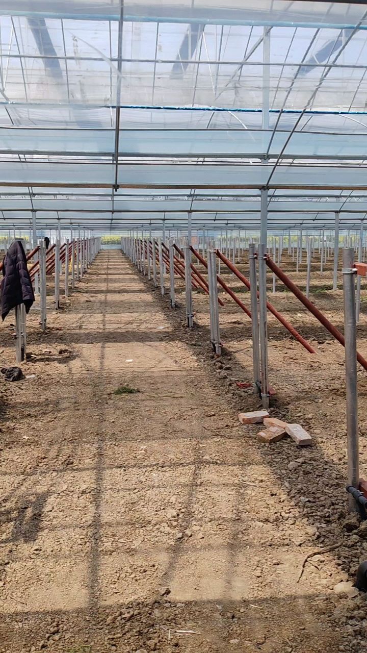 火龙果连栋大棚套棚