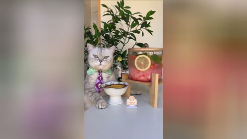 猫王：懒人版焦糖布丁，只要酸奶和鸡蛋！超简单～