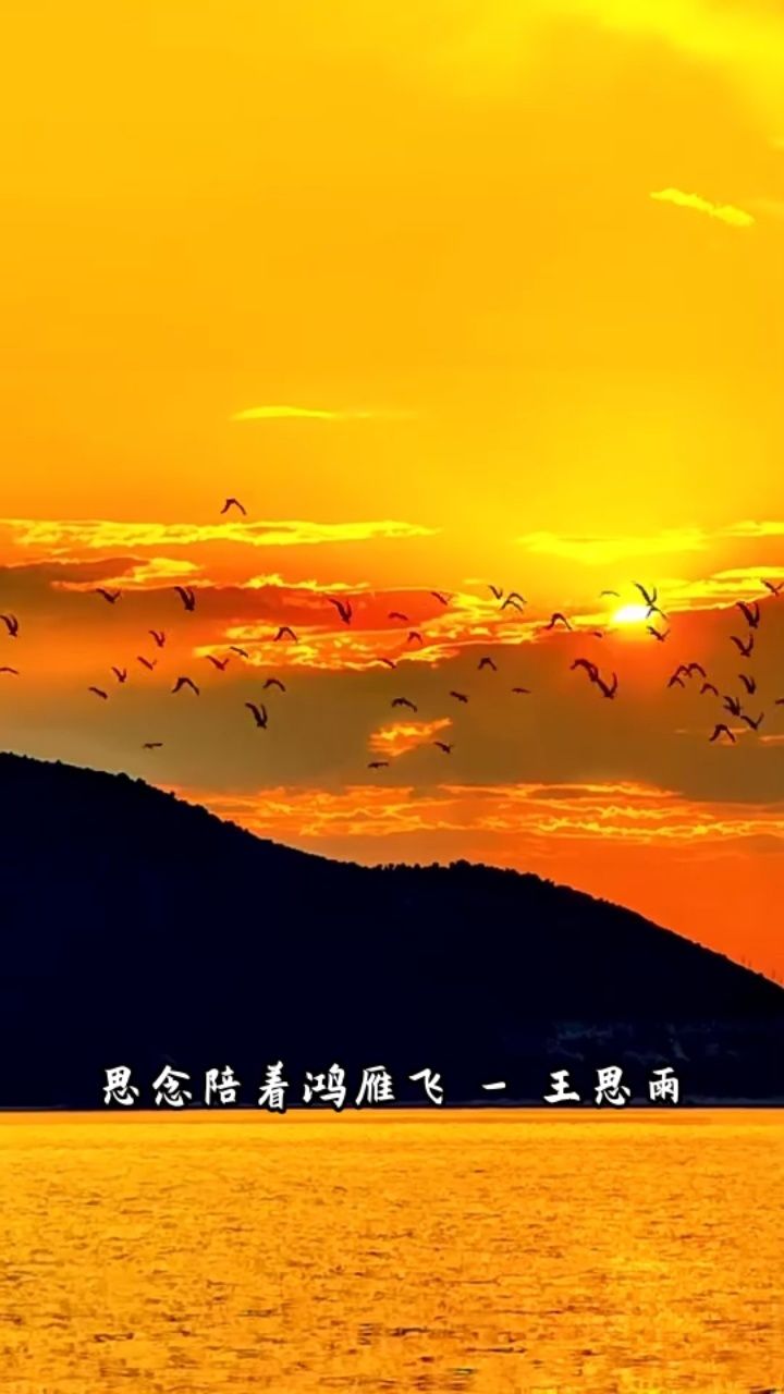 思念陪着鸿雁飞