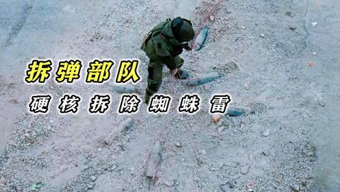 拆弹部队：居民楼惊现爆炸物，拆弹被团灭_高清1080P在线观看平台_腾讯视频
