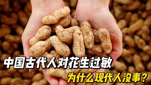 中国古代人对花生过敏?为什么现代人没事?_高清1080P在线观看平台_腾讯视频