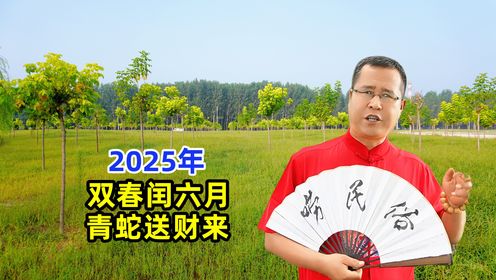 老人惊叹：2025 年 “双春闰六月，青蛇送财来”，究竟啥兆头？