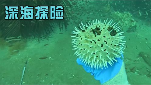 探寻海底宝藏：揭秘神秘海洋捕鱼之旅_高清