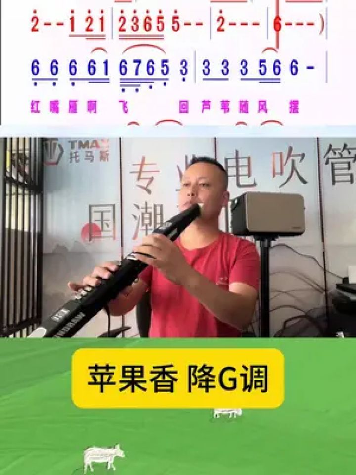 苹果香 王大叔电吹管降g调动态谱演奏 #电吹管演奏