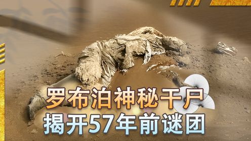 2016 57 1080P 2016 57 1080P
