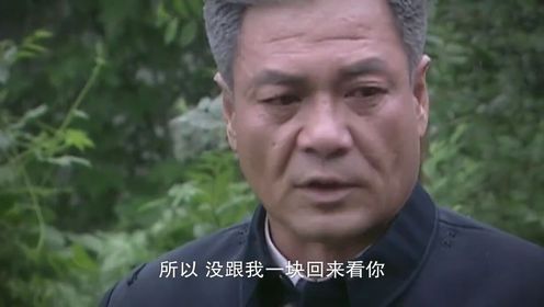 沧海：军嫂在墓地怀念死去的丈夫儿子，谁知隔壁青年竟下跪喊娘