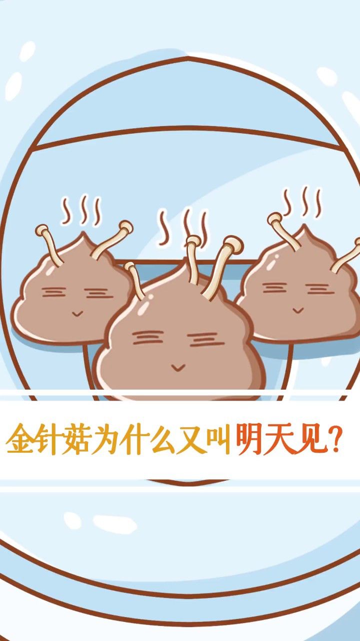 既然金针菇又叫明天见,我有个设想,不知当讲不当讲!