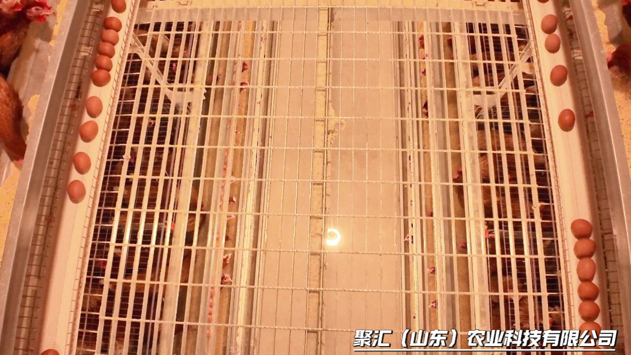 高清1080P在线观看平台_腾讯视频