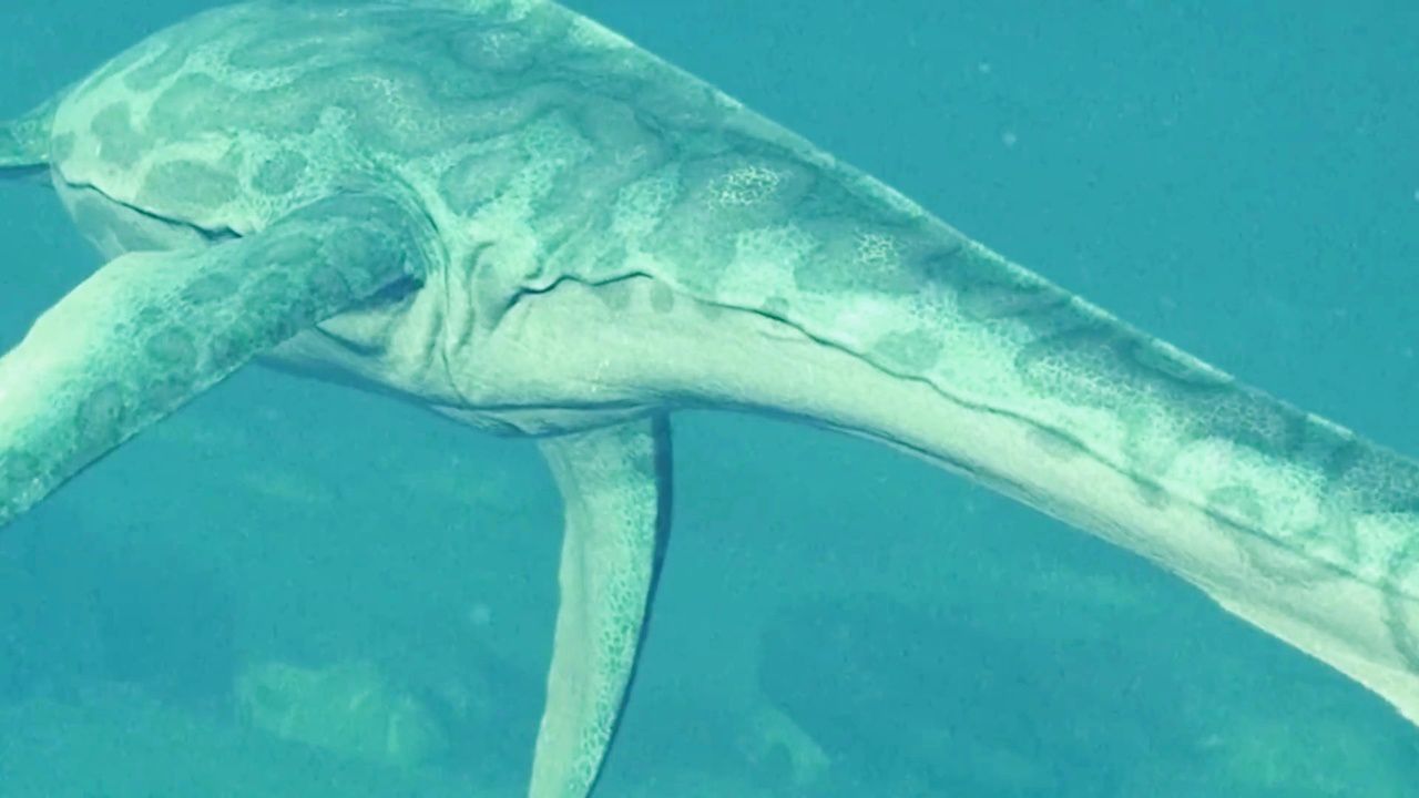 海中的蛇颈龙_18_高光片段