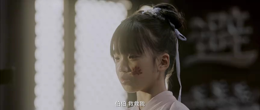 大宋有奇案 19集