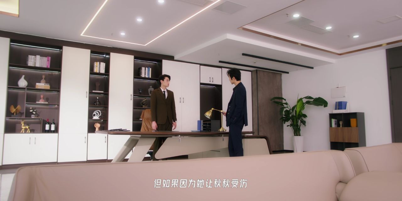 哑妻 10集