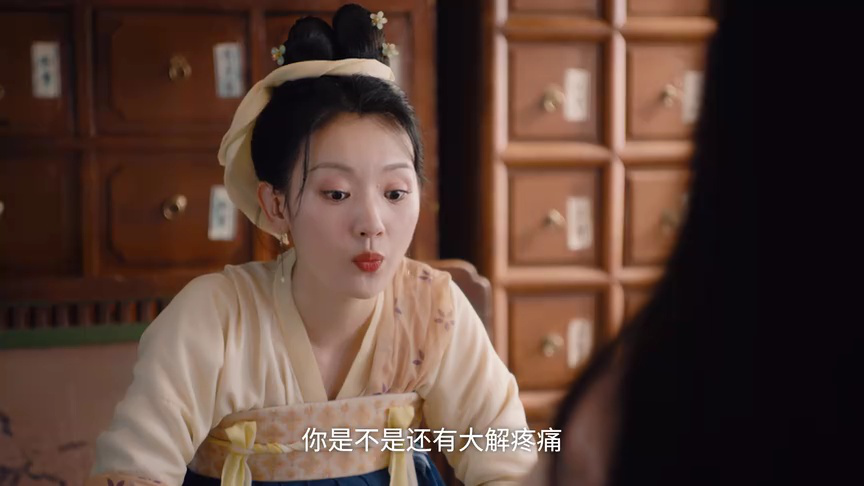 锦医风华 14集