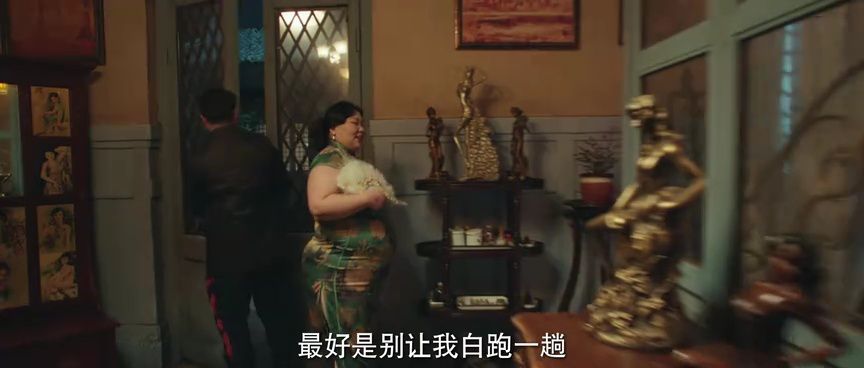 她的伪装 5集