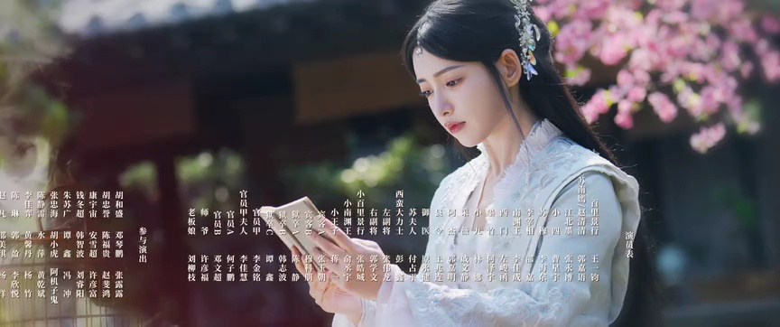 双花镜 11集