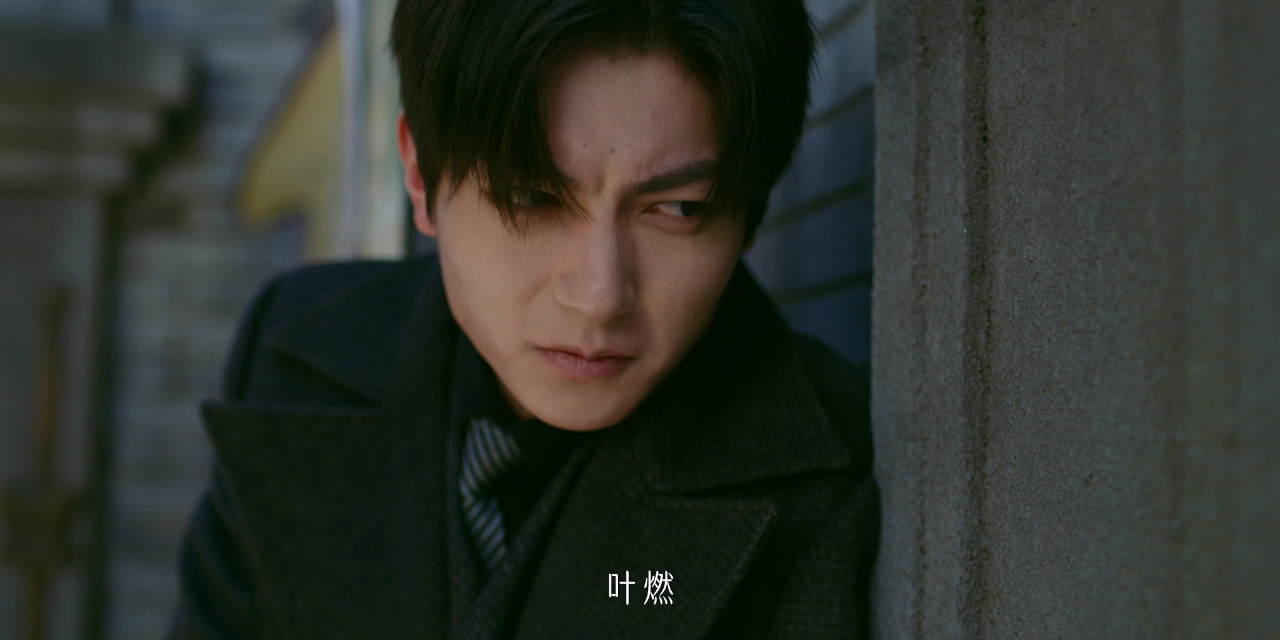 他似火 29集