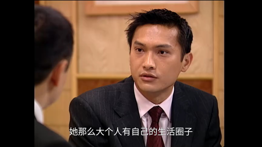 刑事侦缉档案4[普通话版] 16集