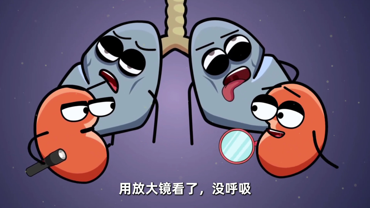 器官大冒险 身体里的开心派对 8集