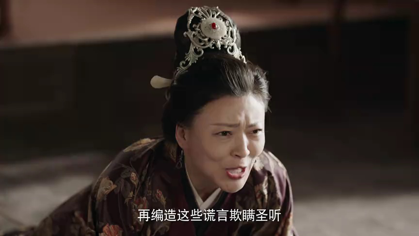 将军夫人为何那样 17集