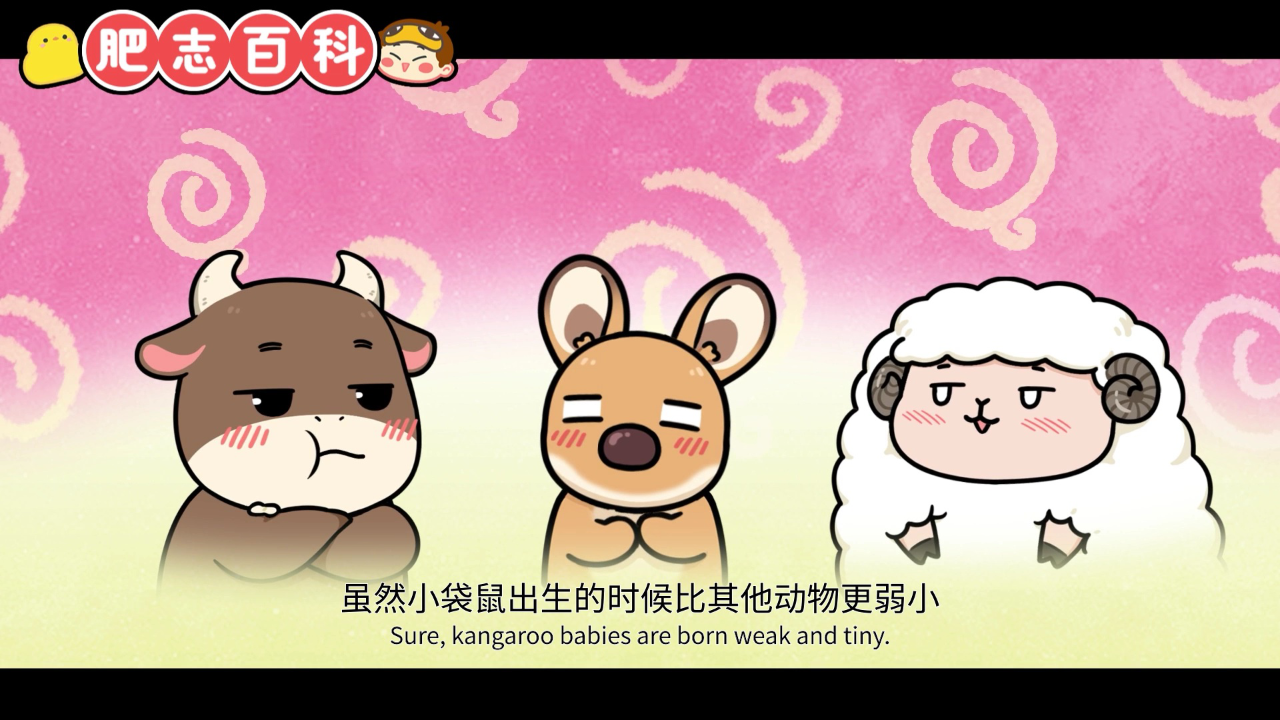肥志百科第13季 10集
