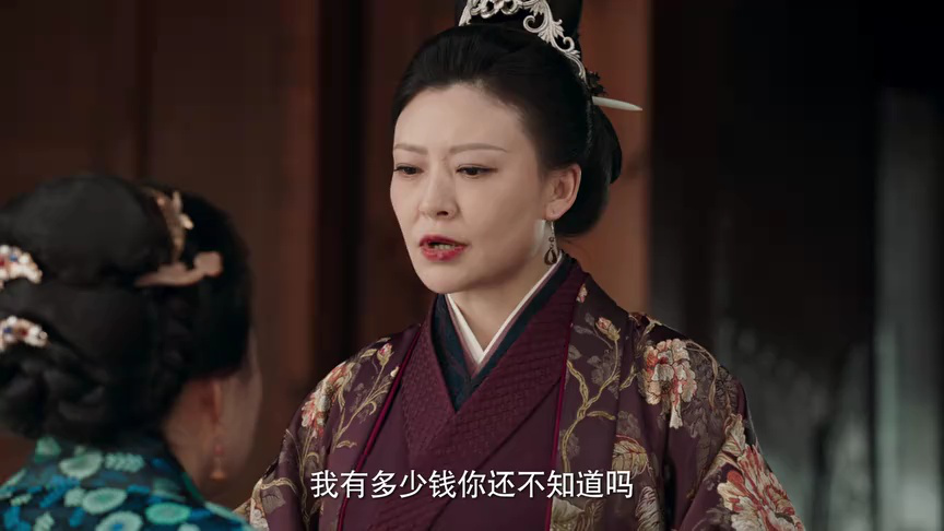 将军夫人为何那样 12集