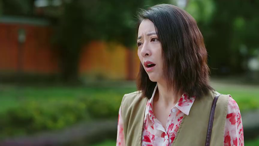 依然的喜事 10集