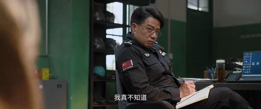 藏锋 13集