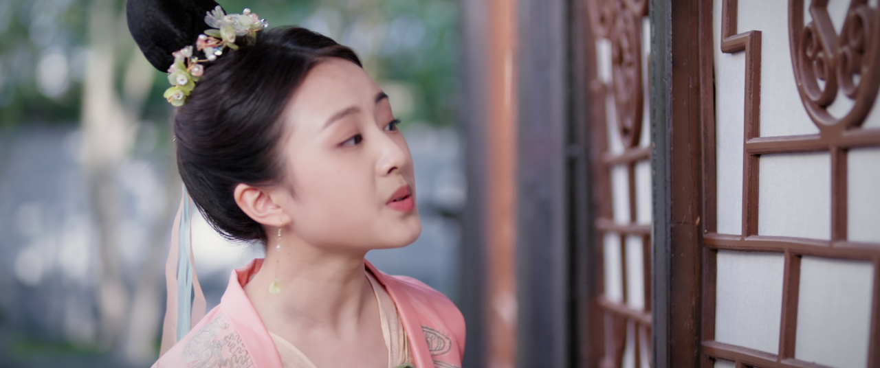 见卿卿 14集