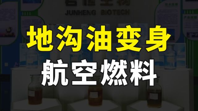 地沟油变废为宝,我国企业研发出新技术,可把废油转换成航空燃料