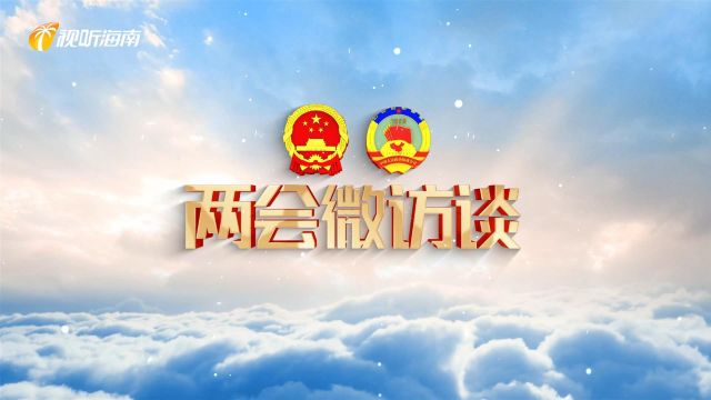 微访谈|阎二鹏:更好发挥海南自由贸易港高水平开放平台作用 构建中国特色数据基础制度