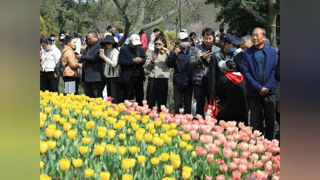 太子湾成“流量担当”,这一幕挺痛心,请和我们一起维护西湖美景