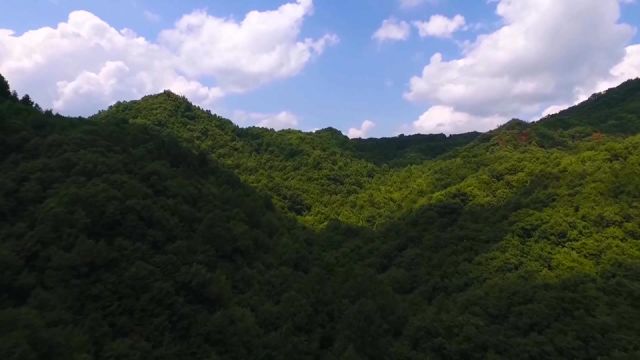 深入践行“绿水青山就是金山银山”理念 着力夯实高质量发展生态基础