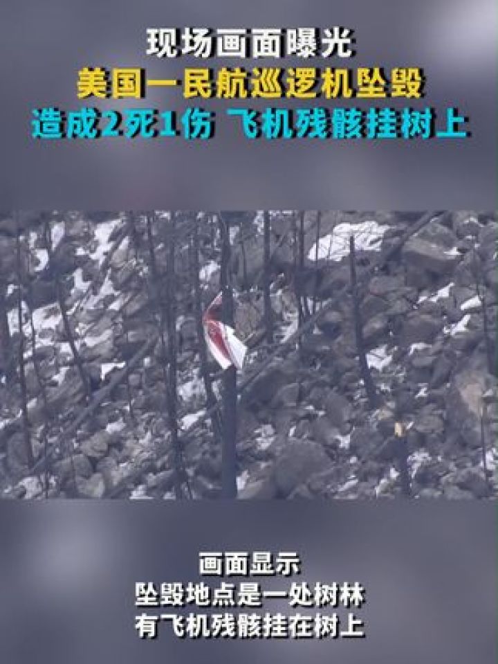 现场画面曝光 美国一民航巡逻机坠毁造成2死1伤 飞机残骸挂树上 #美国
