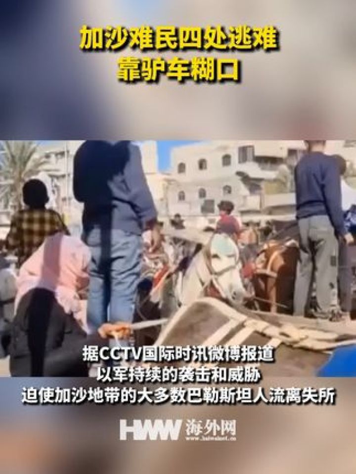 加沙难民四处逃难靠驴车糊口_高清1080P在线观看平台_腾讯视频