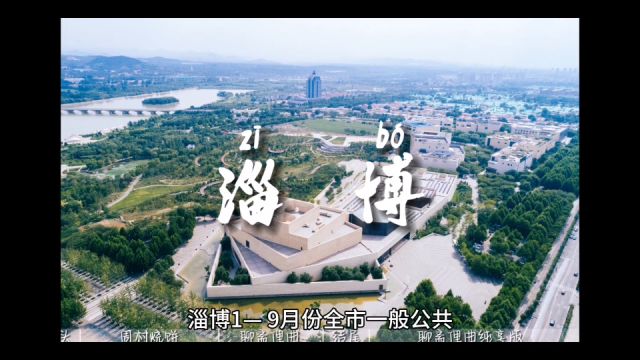 2023年19月淄博各地财政收入,桓台增速最佳,张店表现出色