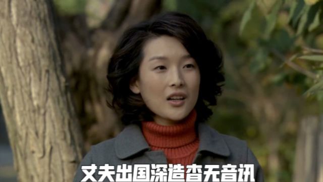 丈夫出国深造杳无音讯,妻子得知他在外娶妻生子,却仍不愿跟他分开