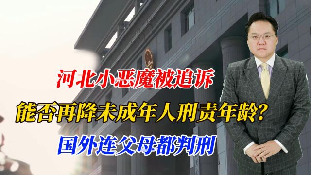 河北小恶魔被追诉,能否再降未成年人刑责年龄?国外连父母都判刑