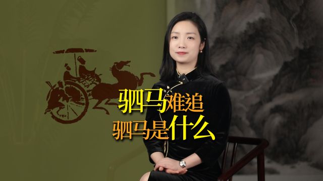 “一言既出,驷马难追”,驷马,到底是什么马?