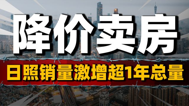 降价卖房才是出路?日照楼市“打8折”,销量激增超1年总量