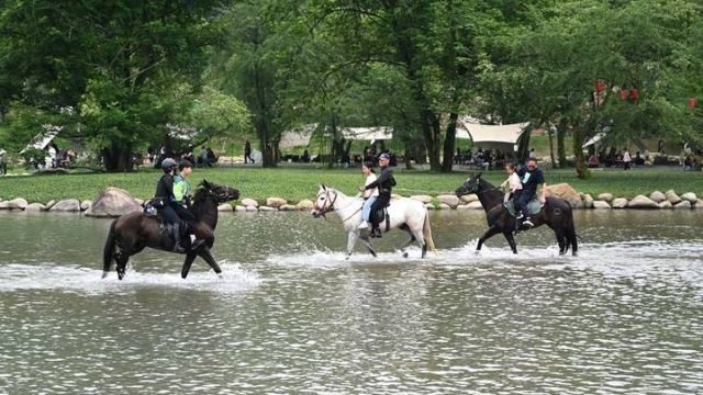 独辟蹊“静”乐享假期 浙江武义乡村露营人气旺