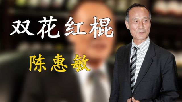 “双花红棍”陈惠敏,功夫比肩李小龙,巅峰时整个尖沙咀都听他的