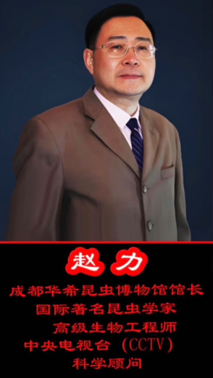 赵力(成都华希昆虫博物馆馆长,高级生物工程师)