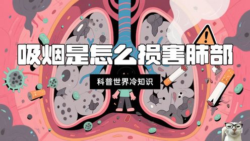 吸烟究竟是怎么损害肺部的?香烟的危害,你无法想象!_高清1080P在线观看平台_腾讯视频