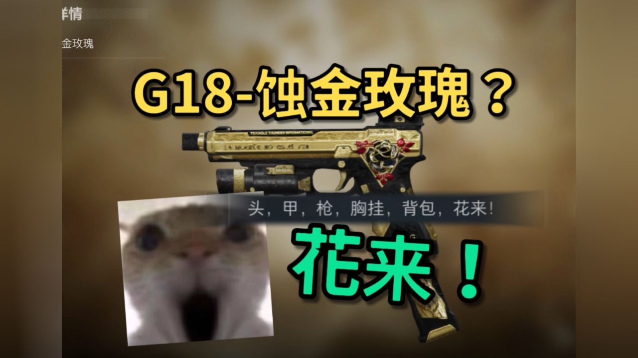 【三角洲】G18蚀金玫瑰?自制花来G18!_高清1080P在线观看平台_腾讯视频