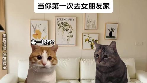猫meme小剧场26:当你第一次去女朋友家_高清1080P在线观看平台_腾讯视频
