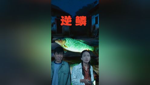 逆鳞第1集_高清1080P在线观看平台_腾讯视频