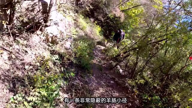 保定易县狼牙山,红叶满山,每到一处都有说不完的故事